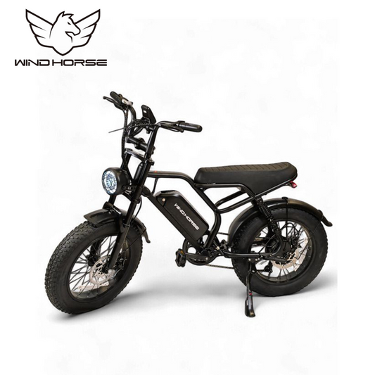 Wind Horse V8 Electric Bike, V8