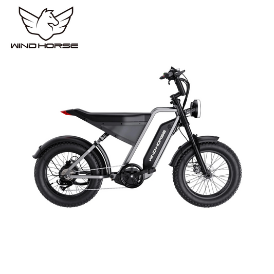 Wind Horse D3 Electric Bike, D3