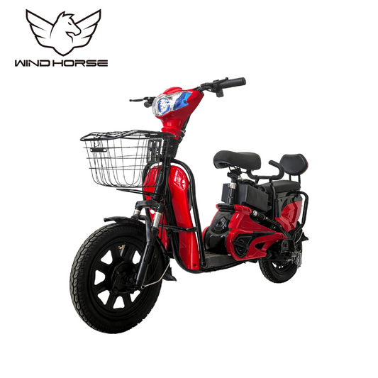 Wind Horse M1 Electric Bike, M1