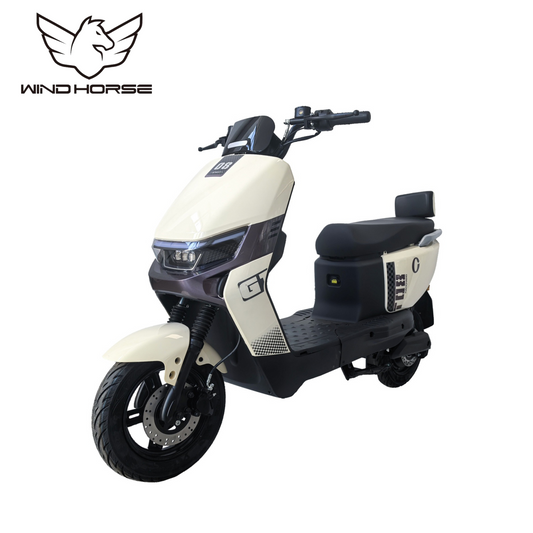 Wind Horse M5 Electric Bike, M5