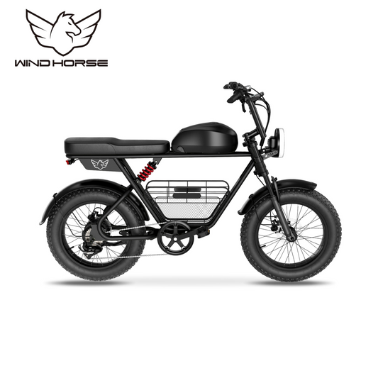 Wind Horse D5 Electric Bike, D5