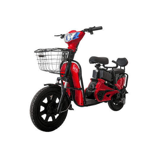 Wind Horse M1 Electric Bike, M1