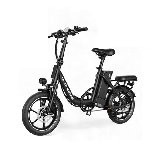 Wind Horse W2 B Electric Bike, W2 B