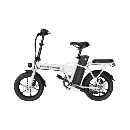 Wind Horse W2 A Electric Bike, W2 A