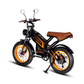 Kugoo Electric Scooter 750W 55KM Range 75KM Speed, V5