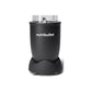 NutriBullet 900 Watts Multi-Function High Speed Blender