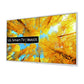 LG 43 inch Smart TV - 4K - White, 43UQ76