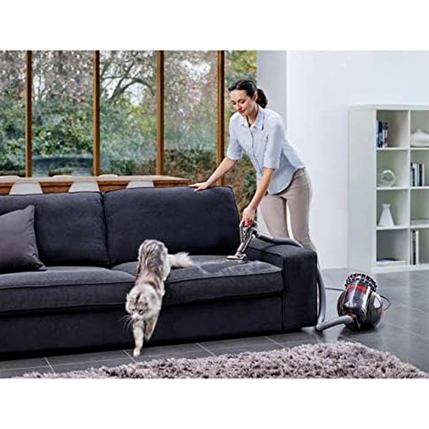 Dyson Big Ball Animal Cylinder Vacuum Cleaner