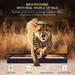 Nikai 55 inch Android Smart QLED TV - 4K, NPROG55QLED