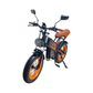 Kugoo Electric Scooter 750W 55KM Range 75KM Speed, V5