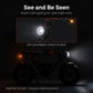 Kugoo Electric Scooter 750W 35KM Range 35KM Speed, T31