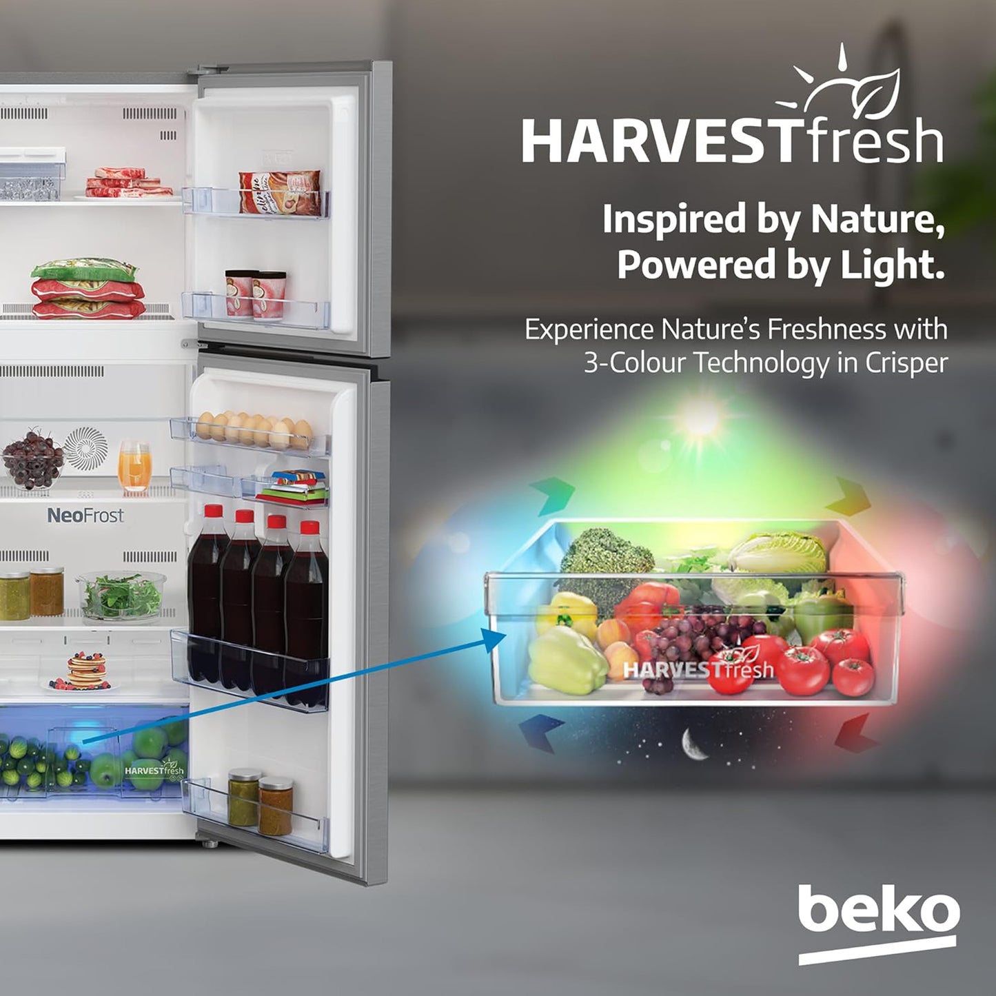 Beko 250L Top Mount Refrigerator, RDNT300XS