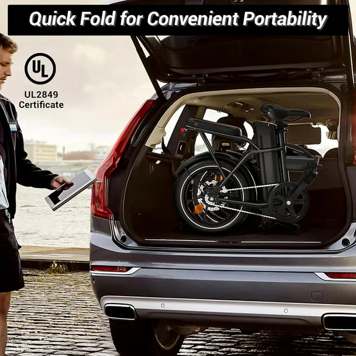 Wind Horse W2 A Electric Bike, W2 A (Black)