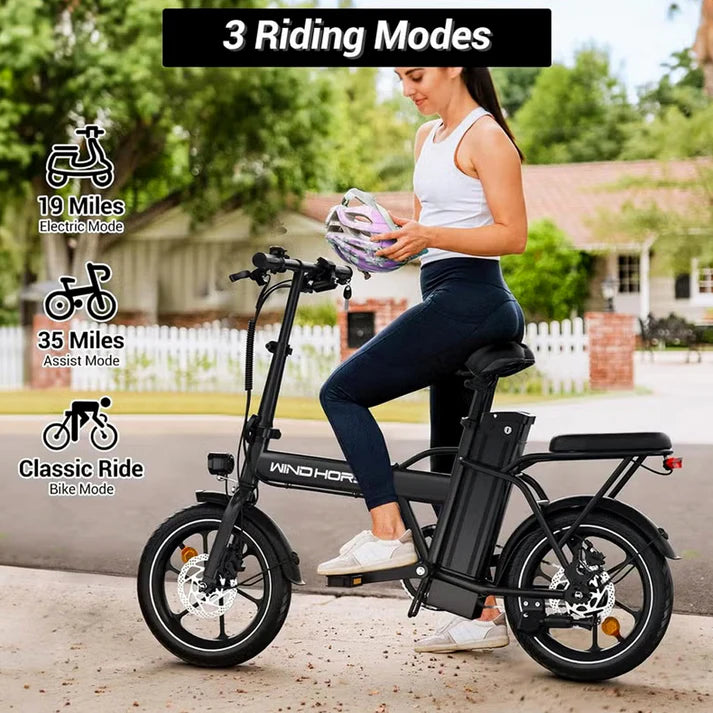 Wind Horse W2 A Electric Bike, W2 A (Black)