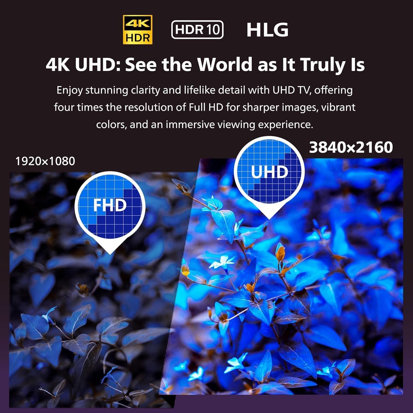 Philips 50 inch Android Smart QLED TV - 4K, 50PQT8169