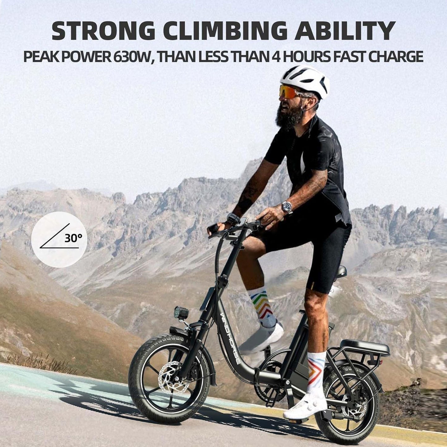 Wind Horse W2 B Electric Bike, W2 B