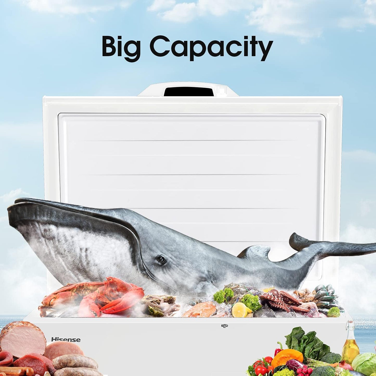 Hisense 330L Chest Freezer, FC-33DT4SAW2
