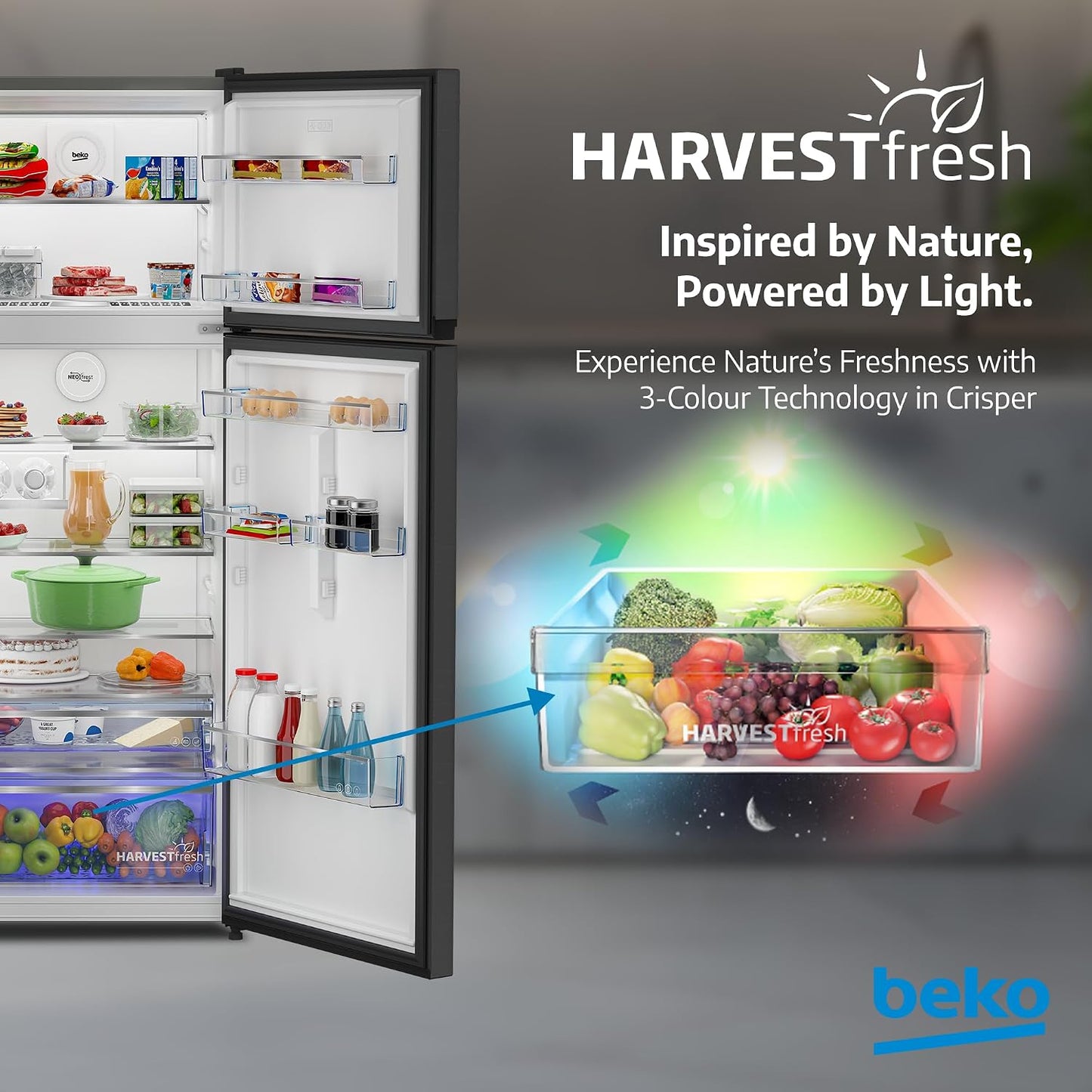 Beko 455L Top Mount Refrigerator, RDNG455DDI