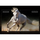 TCL 65 inch Android Smart TV - 4K, 65S571G
