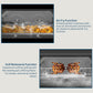 Beko 90X60 Cm 5 Burner Cooking Range, BGTW 11227 EXA