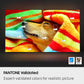 Samsung 55 inch Smart OLED TV - 4K - 120Hz, 55S85F