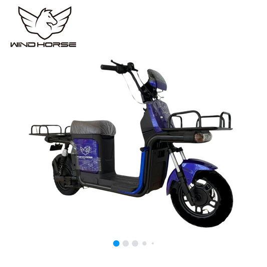 Wind Horse M4 Electric Bike, M4