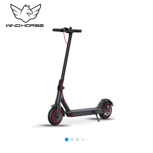 Wind Horse T1 Electric Bike, T1