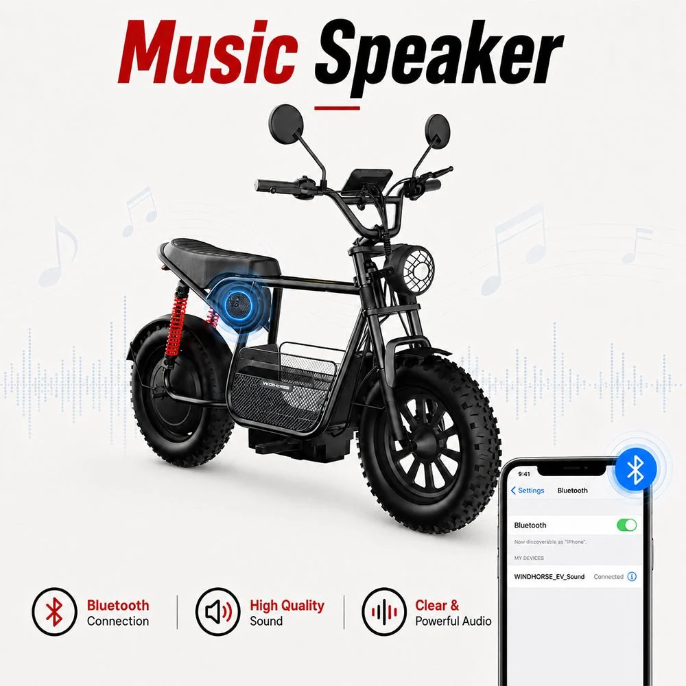 Wind Horse Electric Bike 750W 50KM Range 32KM Speed, D1