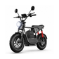 Wind Horse Electric Bike 750W 50KM Range 32KM Speed, D1