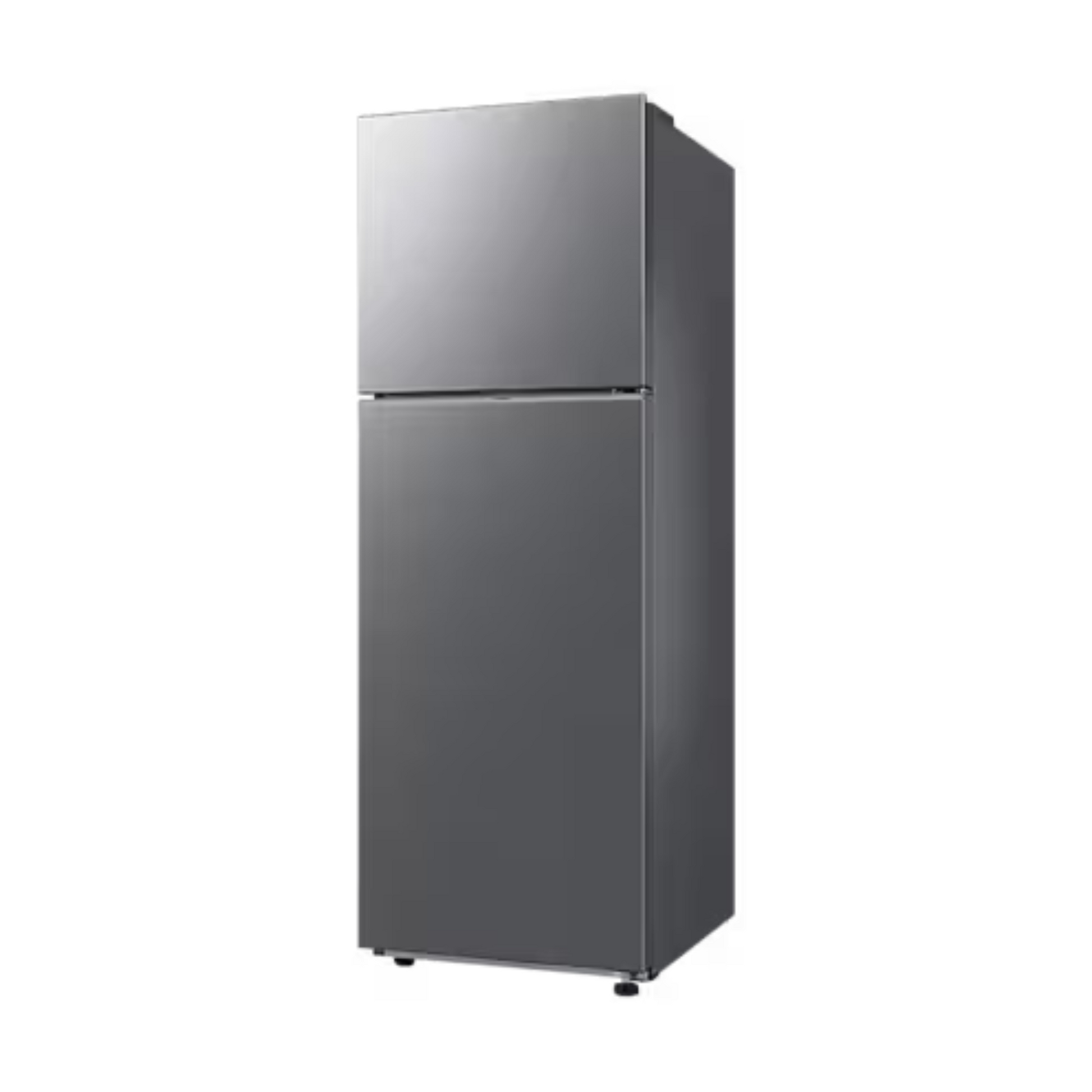 Samsung 345L Double Door Refrigerator, RT45CG5404S9