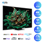 TCL 85 inch Smart QLED Mini LED TV - 4K - 144Hz, 85Q7C