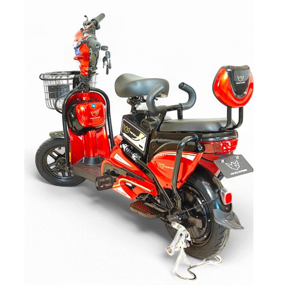 Wind Horse M1 Electric Bike, M1