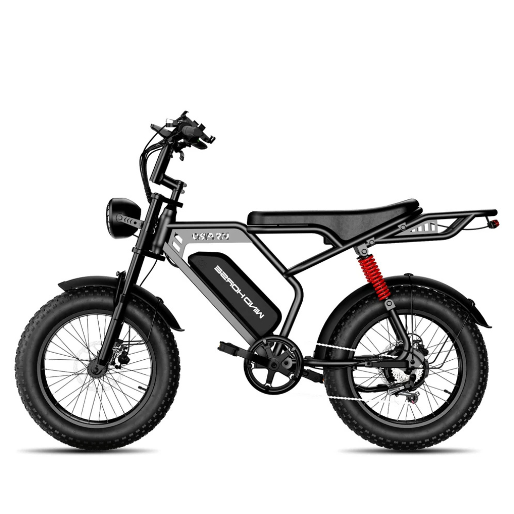 Wind Horse V8 Pro Electric Bike, V8 Pro