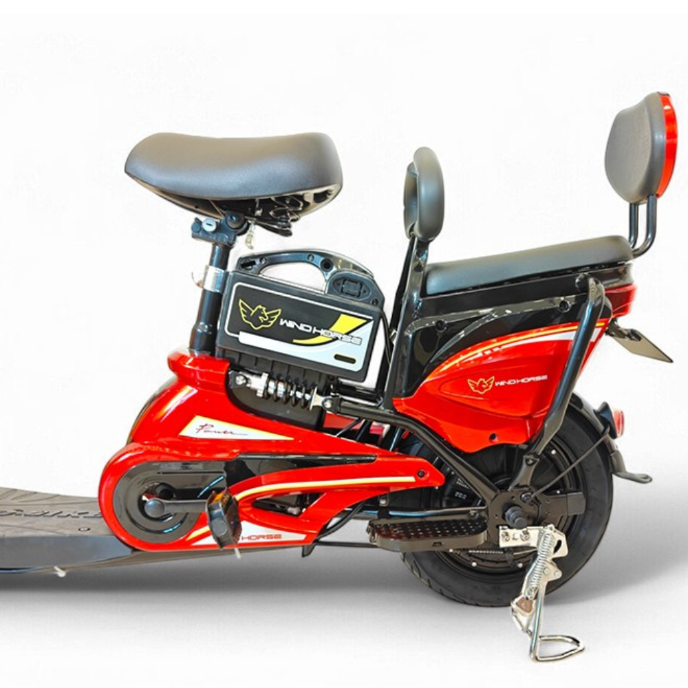 Wind Horse M1 Electric Bike, M1