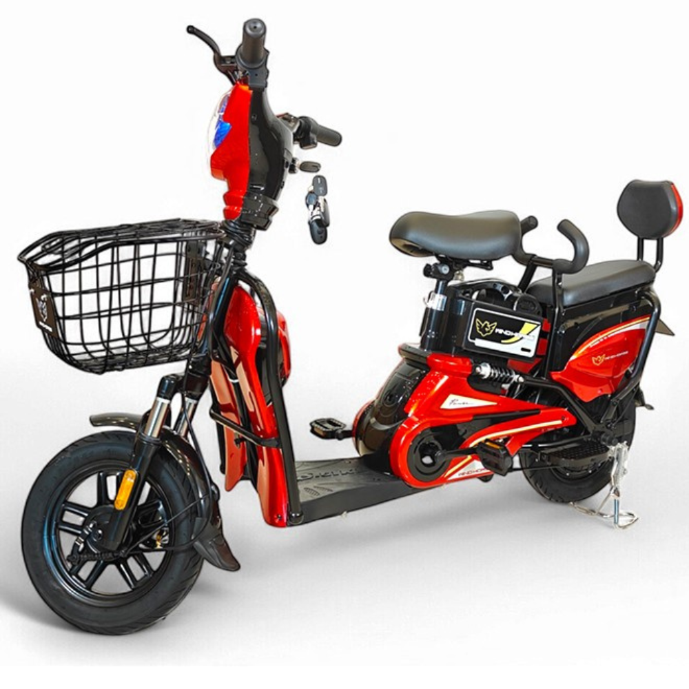 Wind Horse M1 Electric Bike, M1