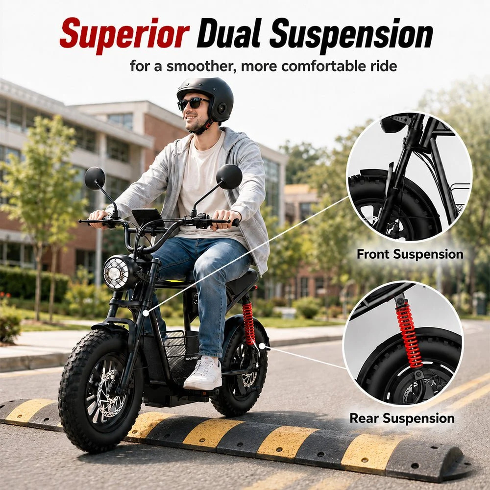 Wind Horse Electric Bike 750W 50KM Range 32KM Speed, D1