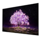 LG 55 inch OLED Smart TV, 55C2